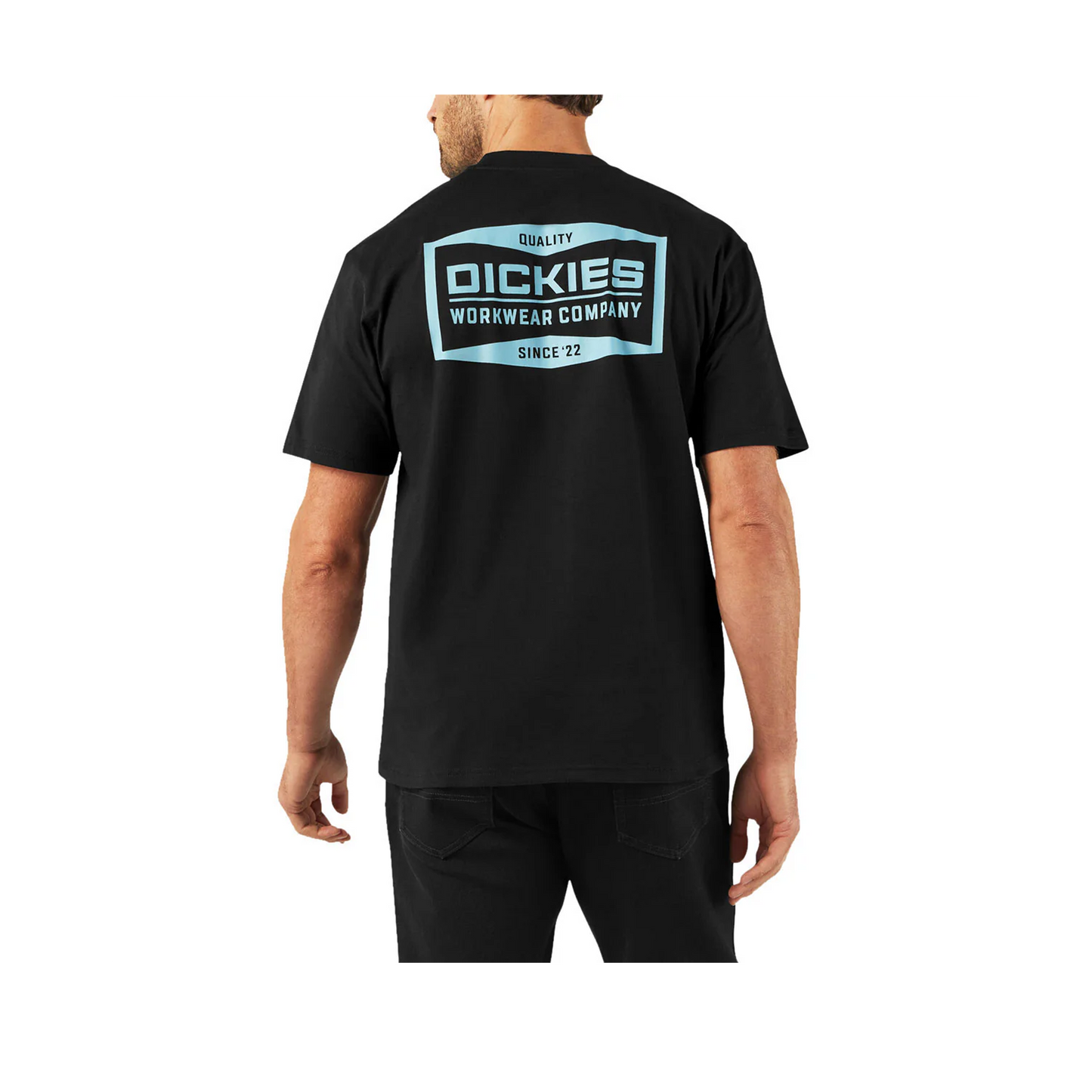 Dickies - Bolivar Tee - ( Black / Mint )