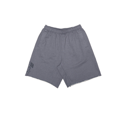 Nike SB - Graphic Skate Fleece Shorts - ( Cool Grey )