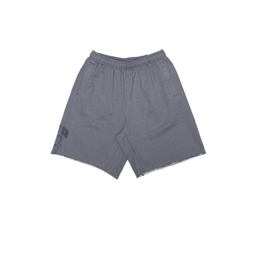 Nike SB - Graphic Skate Fleece Shorts - ( Cool Grey )